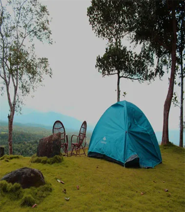 Camp Stay in Wayanad