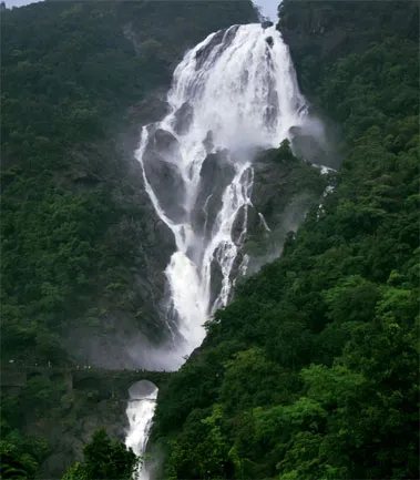 Dudhsagar Waterfall Day Tour, Goa