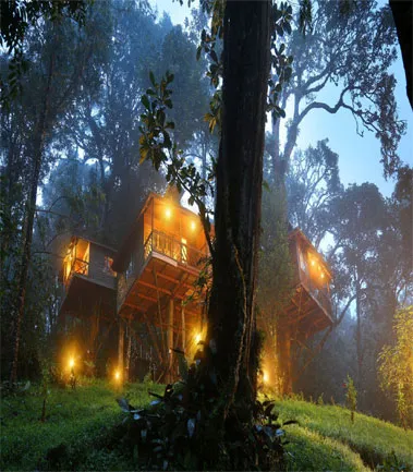 Tree House Stay with scenic nature vistas, Munnar