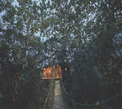 Vythiri Tree House Stay, Wayanad