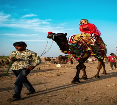 Jodhpur Camel Safari & Overnight Camp Stay