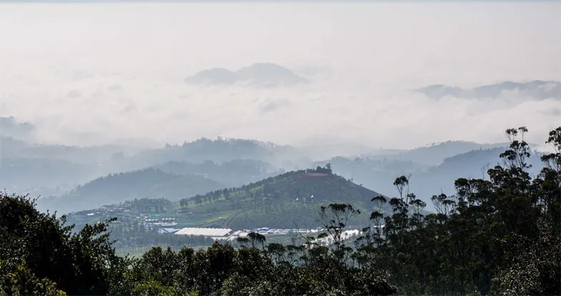 Tour to Doddabatta Peak in Ooty, Tamil Nadu Image