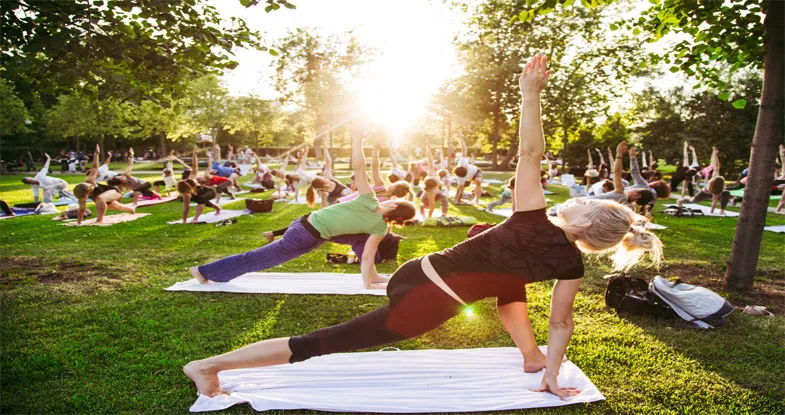 Group Yoga Class in Rishikesh Image