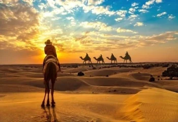 Group Tours in India